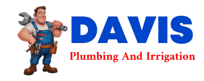 Trusted plumber in WITHEE